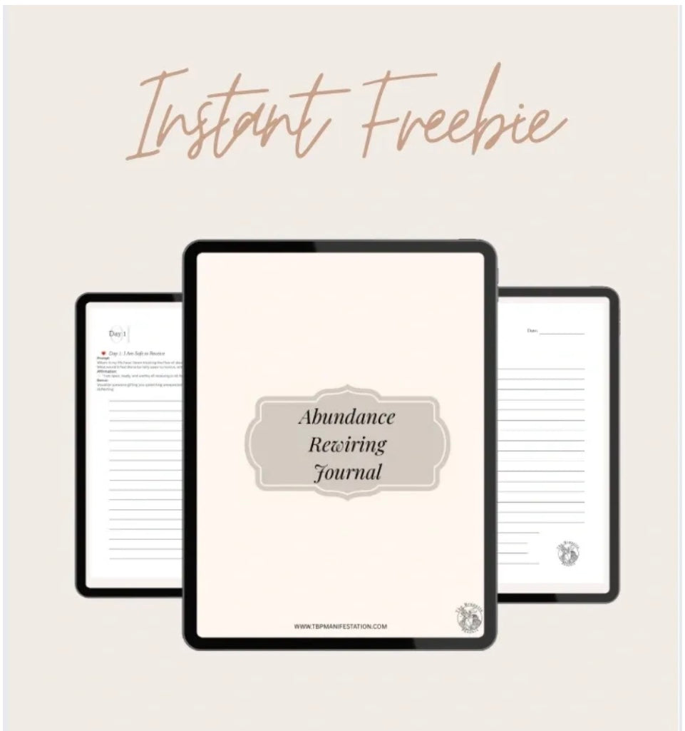 Abundance Rewiring Journal